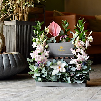 Send Congratulations Flowers And Gifts Online In Kuwait, Same-Day Delivery