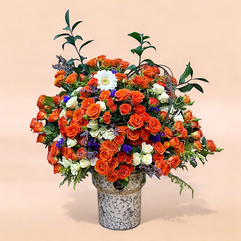Bright Blooms