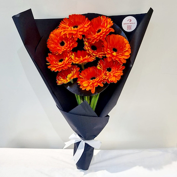 Orange Gerbera