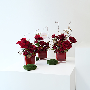 Blush Of Love Vases