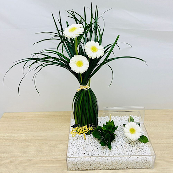 Graduation Tray