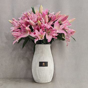 Casa Pink