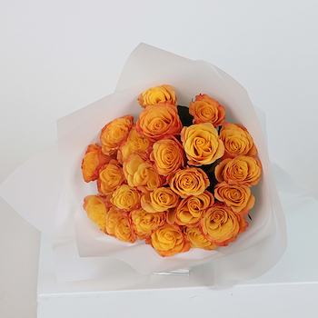 Orange Rose 20