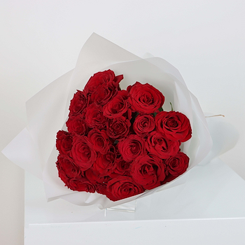Red Rose 21