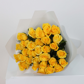 Yellow Rose 30