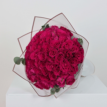 Fuchsia Roses 50