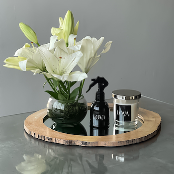 Lilium Touch