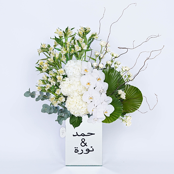 رمادا