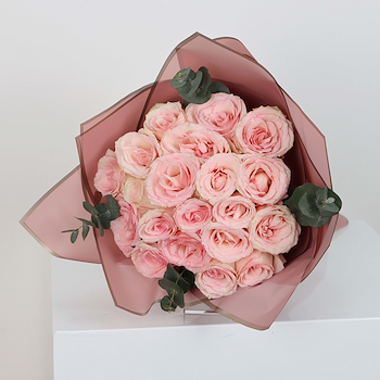 روزز اسبرنس 21