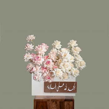 دريم بوكس 3