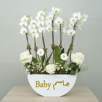 شارب وايت 6