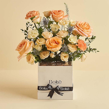 Peach Box