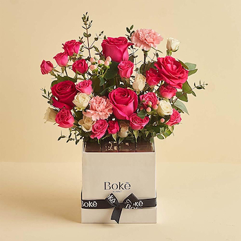 Fuchsia Box Chocolate