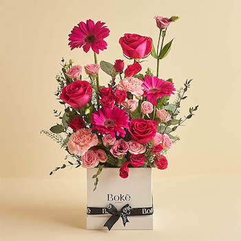 Rose's Beauty
