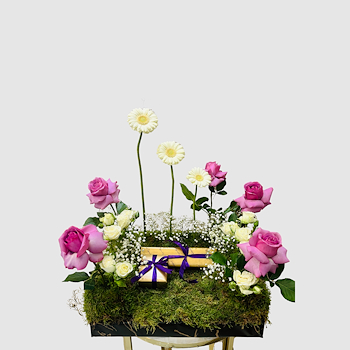 Wish