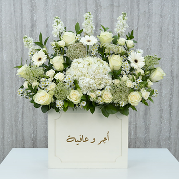 ليما 15