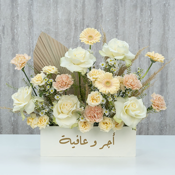 ليما 17