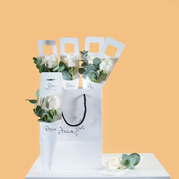 White Single Roses