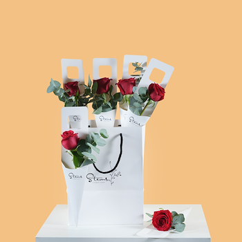 Red Single Roses