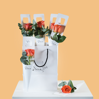 Orange Single Roses