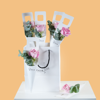Pink Single Roses