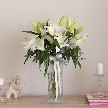 Lily Bloom