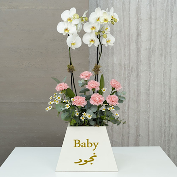 Plant 5