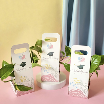 Pothos Plants 3