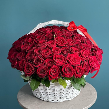 Red Roses 101