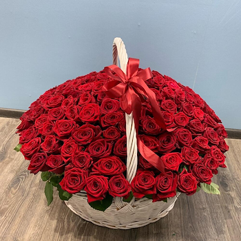 Red Roses 151