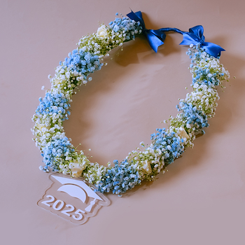 Blue Graduation Collar
