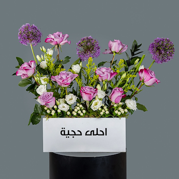 بريتي فيوليت