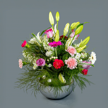 Crystal Fern