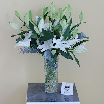 Perfect White Lilies