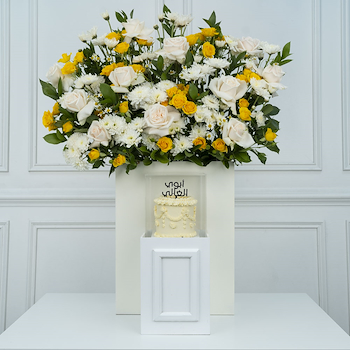 دايلا 12