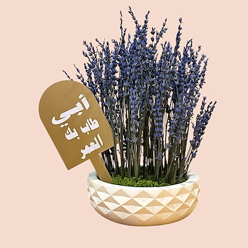 اللافندر المزهرة