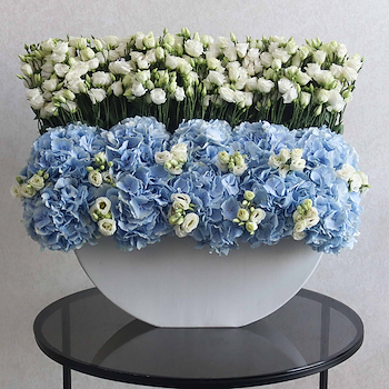 Beauty Of Garden Blue