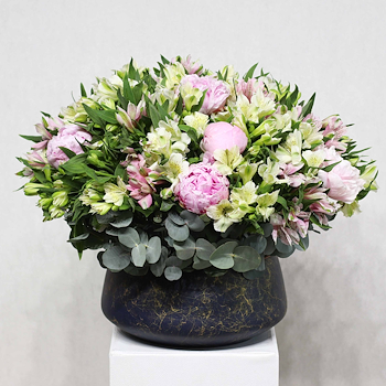 Peonies & More