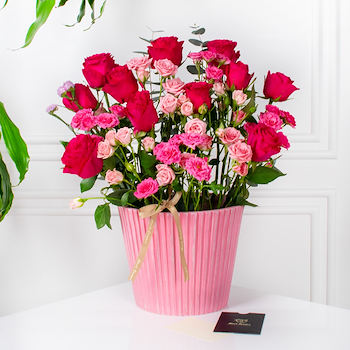 Pink Garden Flowers