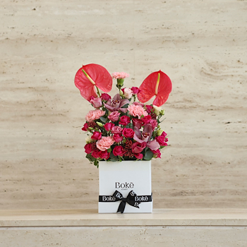 Anthurium Box