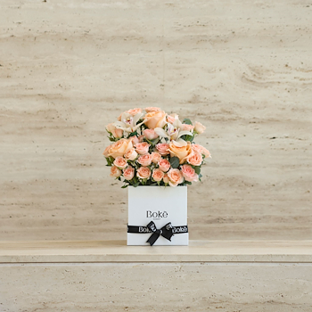 Peach Box 1