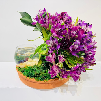 Fish Arrangement