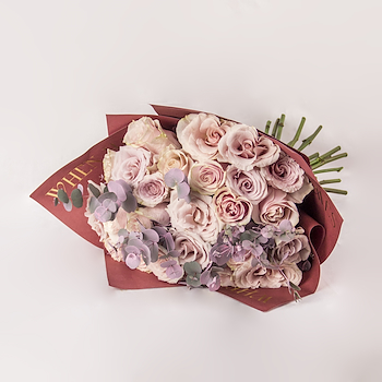Soft Petal Dream