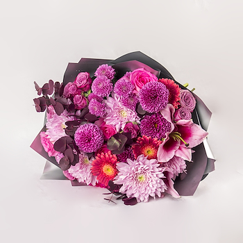 Dahlia & Chrysanthemum Delight