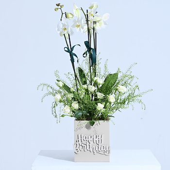 Birthday Single Orchid