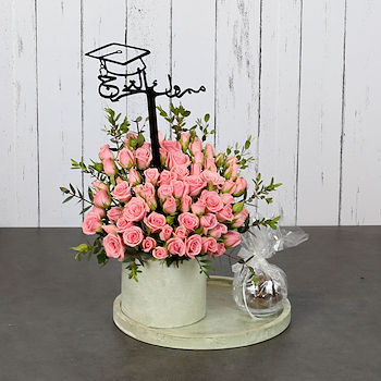 فيربينا 52