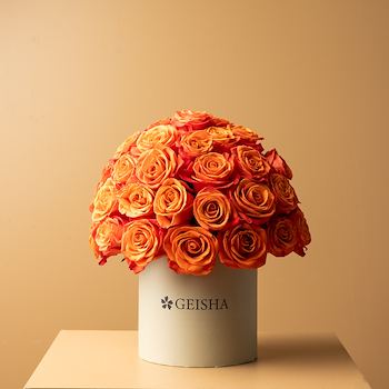 Orange Blooming