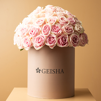 Classic Pink Rose
