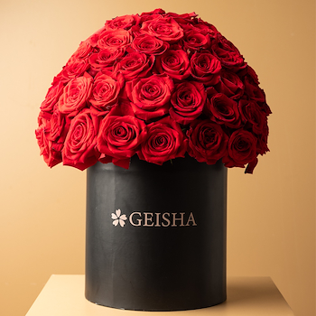 Classic Red Rose