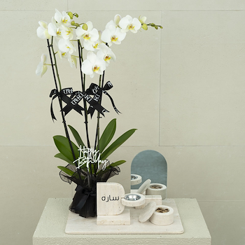 Black Orchid